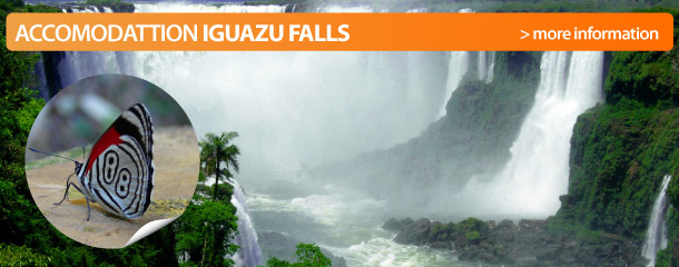 Travel to Iguazu Falls