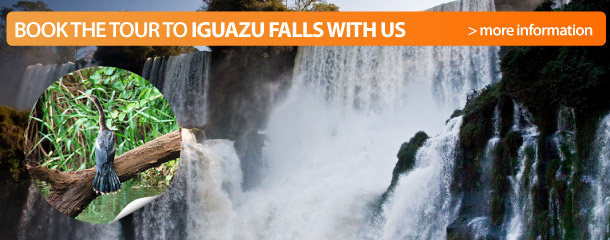 Book a tour to Iguazu Falls 