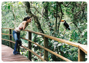 iguazu falls tours - Flora and Fauna - travel iguazu falls