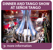 Se&ntilde;or Tango