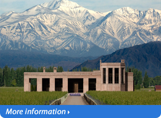 LUXURY TOUR IN MENDOZA