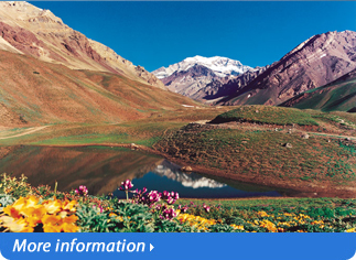 TOUR IN MENDOZA BY BYS