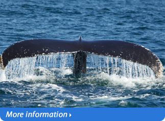 TOURS TO PUERTO MADRYN 