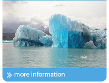 CALAFATE CLASSIC