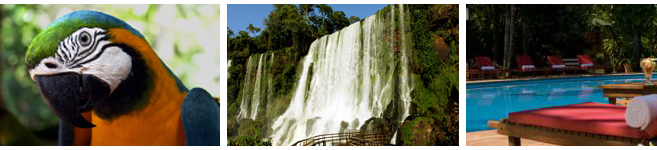 Iguazu falls