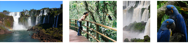 beautiful pictures in iguazu falls