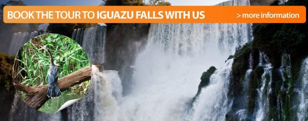 Tours to the jungle in Iguazu Falls 