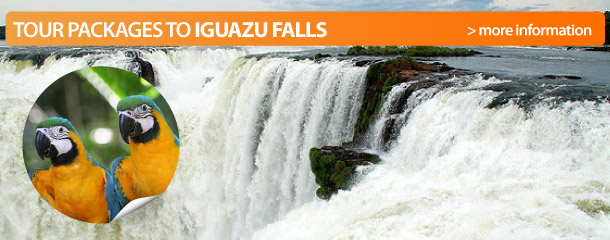 Jungle Tours in Iguazu Falls 