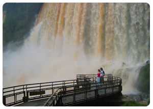 Flora and Fauna - Iguazu Falls