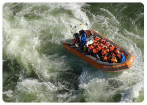 Flora and Fauna - Iguazu Falls