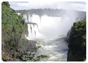 iguazu falls tours - Flora and Fauna - travel iguazu falls