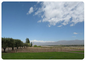 MENDOZA PRACTICAL INFORMATION