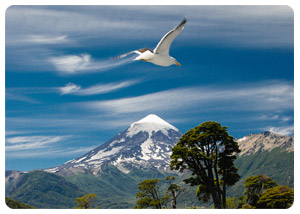 Bariloche - Patagonia Argentina travel