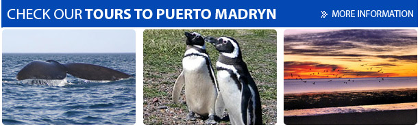 Vacation Packages in Puerto Madryn