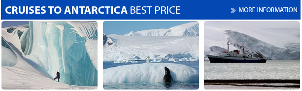 cruises to antartica best price