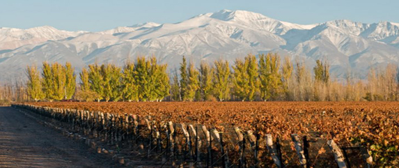 Mendoza winery tour