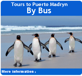 Travel packages to Puerto Madryn