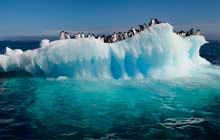 Tours to Antarctica