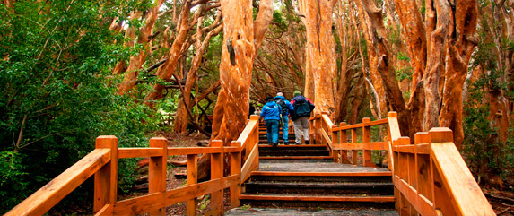 Bariloche puente del inca tours