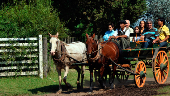 gaucho party