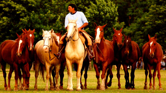 gauchos argentina