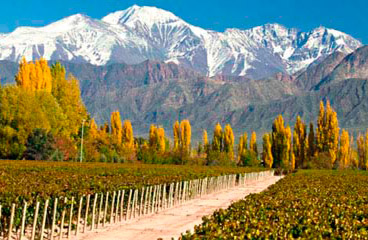 Tours in mendoza