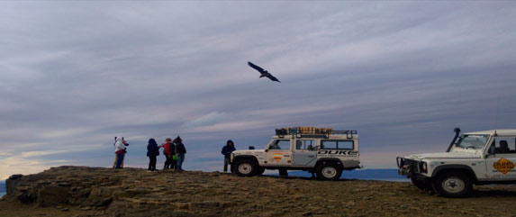 Visit to Balcones to El Calafate