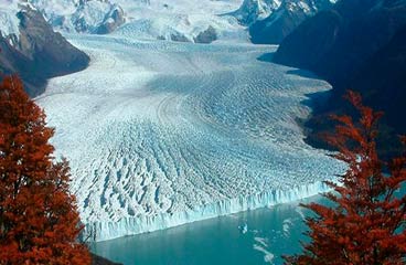 tour in Calafate