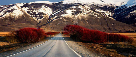 el Calafate and Perito Moreno glacier