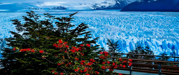 El calafate tours