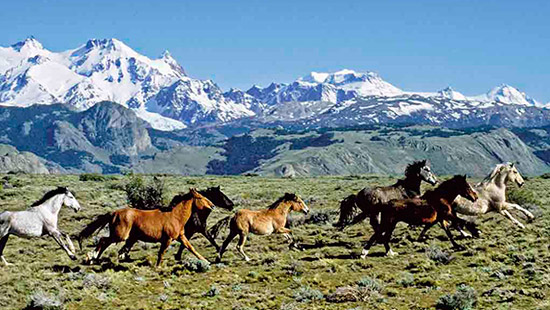 Visit to Perito Moreno