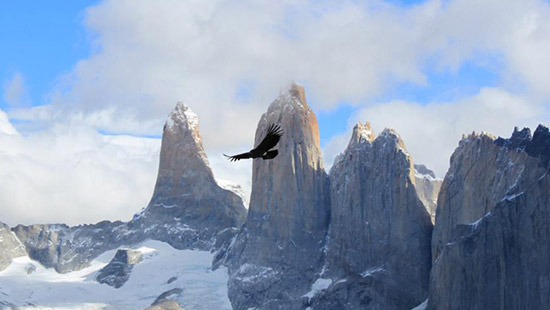 Full day tour to Las Torres del Paine