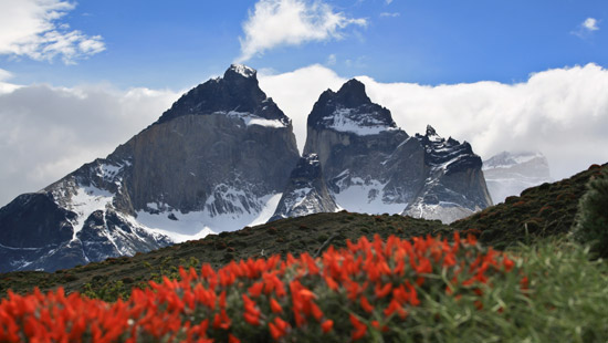 el calafate