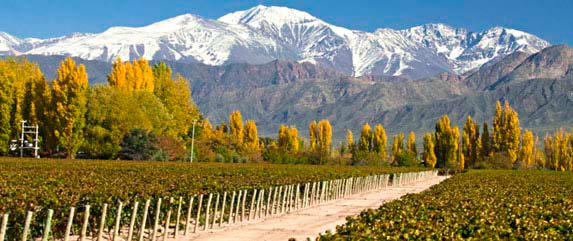 Tours in mendoza