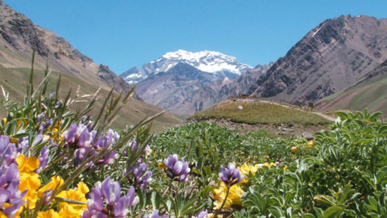 mendoza mountains