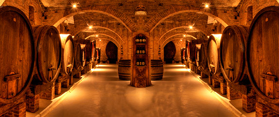 mendoza winery