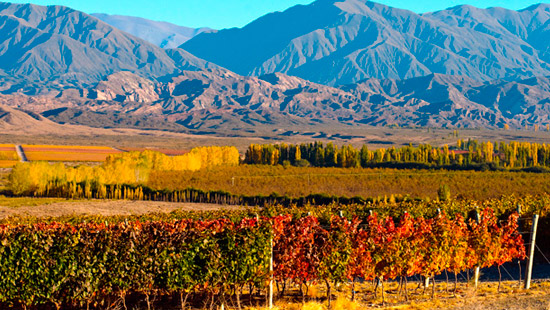 Mendoza tour