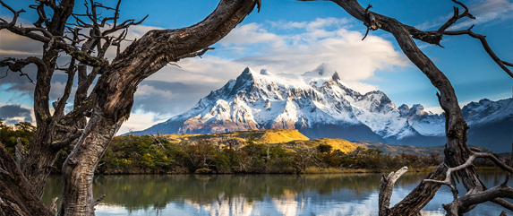 Footbridges in la patagonia