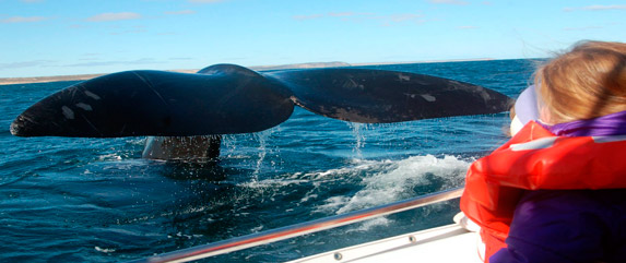 Puerto madryn tour