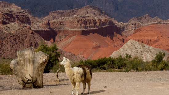 Salta north Argentina