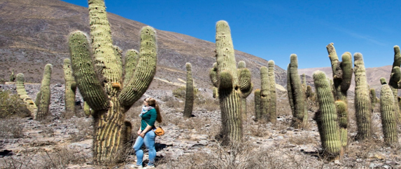 Package to the Salta and jujuy