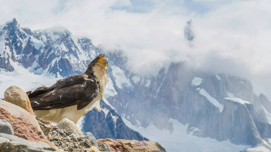 Patagonia Argentina