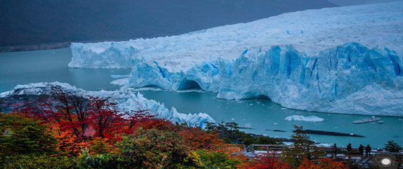 El calafate argentina