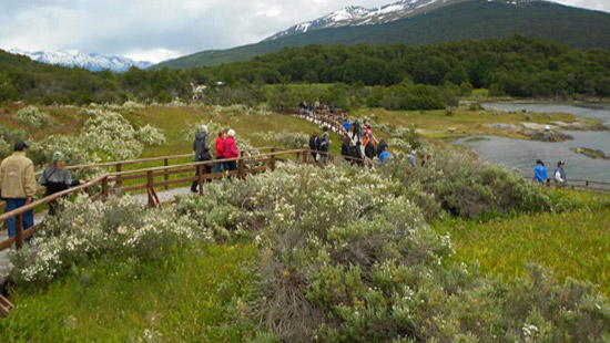 Tierra del fuego tour