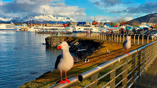 Antarctica Voyage tours