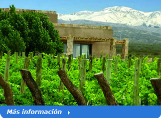 tour to Mendoza