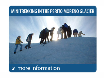 Minitrek on the Perito Moreno Glacier