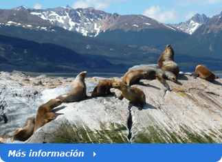 OPTIONAL EXCURSIONS IN USHUAIA