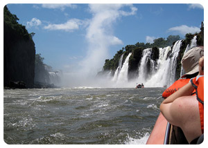 iguazu falls tours - Flora and Fauna - travel iguazu falls