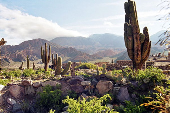 Explore Adventure and Nature Tourism in Salta! 